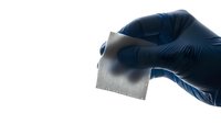 Medical professional in blue latex gloves holding microscope slide for laboratory analysis and scientific research on white background.