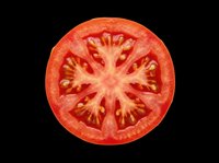 Tomato slice isolated on transparent background, ready for culinary design, food packaging, recipe graphics, t-shirt designs, stickers, and print-on-demand products.