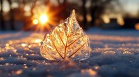 Frozen leaf encased in ice glows with golden sunlight during winter sunset, creating magical bokeh effect in crystalline snow, nature's delicate artistry captured.