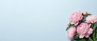 Pink peony flowers with green leaves arranged on a soft blue background, offering copy space for text in greeting cards or banners.