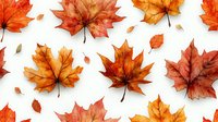 Watercolor maple leaves in warm autumn colors scattered on white background, seamless pattern for seasonal designs and fall-themed projects.