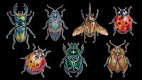 Colorful insect collection featuring seven detailed beetles and bugs isolated on transparent background. Ready for t-shirt designs, clipart, stickers, sublimation, print-on-demand products, and digital crafts.