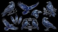 Dark blue raven clipart set isolated on transparent background, featuring flying, perched, and portrait poses with feathers, ready for t-shirts, stickers, and print on demand.