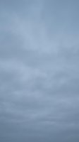 Overcast gray sky with soft cloudy texture for weather backgrounds and atmospheric design projects.