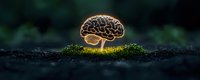 Glowing brain-shaped mushroom growing from moss-covered soil against dark background, symbolizing cognitive growth and natural intelligence. Surreal panoramic view.