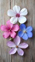 Delicate flowers in white, pink, blue, and lavender arranged on weathered wood background. Each blossom shows detailed veining and natural color gradients.