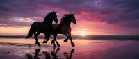 Two horses galloping along ocean beach at sunset with dramatic purple and pink sky reflecting on wet sand creating romantic silhouette scene for travel posters.