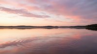 Serene lake at sunrise with concentric ripples reflecting pink and purple sky, calm water surface creating peaceful nature scene for meditation and relaxation projects.