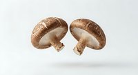 Two fresh brown shiitake mushrooms isolated on white background for culinary and cooking design projects.
