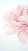 Soft pink watercolor flower petals with delicate brushstrokes on white paper background for feminine design projects and artistic decoration.