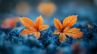 Vibrant orange maple leaves resting on blue moss create dramatic autumn contrast with selective focus and dreamy bokeh effect, showcasing seasonal nature photography.