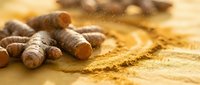Fresh turmeric roots with golden powder spice on wooden surface for cooking, natural medicine and healthy lifestyle concepts.