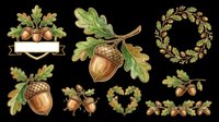 Autumn acorn clipart set with oak leaves, wreath, banner, and heart shape, isolated on transparent background. Ready for stickers, sublimation, and t-shirt design.