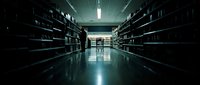 Empty retail store aisle with shelves and fluorescent lighting, suitable for commerce, business, and retail design projects.