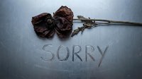 Dried red poppy flower on metallic surface with word Sorry scratched into metal, conveying regret, apology, and emotional depth.
