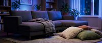 Modern living room at night with dark sectional sofa, decorative pillows on floor, soft blue lighting, potted plants, and shelving. Interior design and home decor.