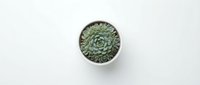 Small green succulent plant in white ceramic pot viewed from above on clean white background for home decor and gardening projects.