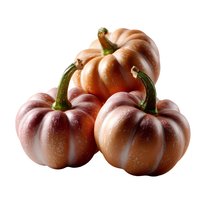 Fresh orange and burgundy pumpkins arranged in decorative composition on white background, isolated for seasonal and harvest designs.