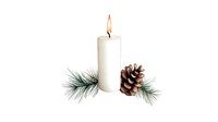 White burning candle with pine cone and evergreen branches on isolated background, festive winter holiday decoration element.
