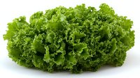 Fresh green curly kale leaves isolated on white background, raw organic vegetable rich in vitamins and minerals for healthy eating and cooking.
