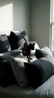 Black cat sitting on gray linen bedding near sunlit window in minimalist bedroom interior. Use for home decor, lifestyle, pet, and interior design projects.