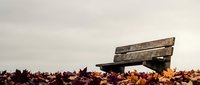 Wooden park bench surrounded by colorful autumn leaves under overcast sky creating peaceful seasonal atmosphere for relaxation and contemplation.