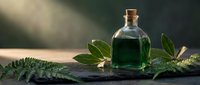 Green herbal essential oil in glass bottle with cork stopper surrounded by fresh fern leaves on dark slate surface for natural wellness and aromatherapy.