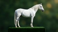 White horse standing on green grass platform against blurred natural background, equestrian animal portrait for advertising and commercial projects.