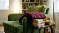 Cozy green velvet armchair with stacked books, burgundy throw blanket, and decorative pillow in bright living room with bookshelves and natural window light for home decor and interior design projects.