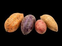 Four colorful sweet potatoes in orange, purple, red, and tan varieties, isolated on transparent background. Great for food clipart, t-shirt design, print on demand, and stickers.