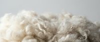 Raw white sheep wool fleece with natural texture and fibers, unprocessed organic material for textile manufacturing, crafts and spinning applications.