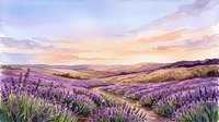 Lavender field landscape at sunset with rolling hills, purple flowering plants, and golden sky, suitable for travel, nature, and wellness design projects.