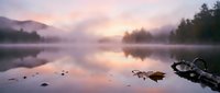 Serene lake at dawn with mist rising over calm water, fallen logs, forested shoreline, and soft pink sky reflected in still surface. Nature landscape.