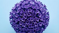 Purple decorative flower ball with small clustered blooms on light blue background for spring design projects and floral arrangements.