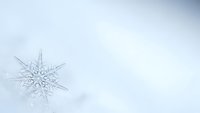 Single delicate snowflake with intricate crystalline structure resting on soft white snow surface creating minimal winter background for seasonal designs.