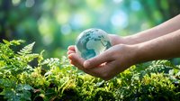 Hands gently holding glass globe with world map over green ferns in natural forest setting symbolizing environmental protection and earth care.