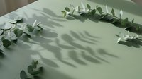 Eucalyptus branches with green leaves arranged on pale surface casting natural shadows, suitable for botanical backgrounds and design projects.