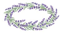 Watercolor lavender wreath with purple flowers and green leaves isolated on transparent background for wedding invitations and botanical designs.