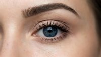 Close-up of woman's blue eye with natural makeup and well-groomed eyebrow showing detailed iris patterns and long eyelashes for beauty concepts.
