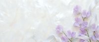 Delicate purple flowers on soft textured background with gentle brushstroke effects creating elegant floral composition for spring designs and romantic projects.