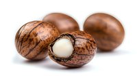 Fresh macadamia nuts whole and cracked open showing white kernel inside on white background, selective focus with natural lighting and texture detail.