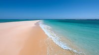 Pristine sandy beach with turquoise ocean waves gently rolling onto pink-tinted shore, aerial view showing curved coastline meeting crystal clear tropical waters.