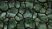 Dark green cracked stone texture with deep fissures and irregular polygonal patterns creating a natural mosaic effect, suitable for background designs and surface patterns.
