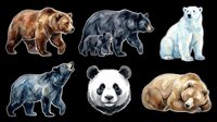 Six watercolor bear clipart set featuring grizzly, black, polar, panda, and sleeping bears, isolated on transparent background, ready for stickers, t-shirt design, and print on demand.