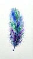 Watercolor feather in blue green purple hues on white background isolated for design projects and artistic decorations.