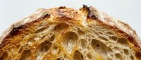 Freshly baked artisan bread with golden crust and open crumb structure, isolated on white background for bakery, food packaging, and culinary design projects.