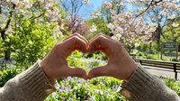 Hands forming a heart shape against a blooming spring garden with pink cherry trees and colorful flowers in soft sunlight.