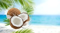 Fresh coconuts with milk splash and palm leaves on tropical beach background for summer vacation and healthy lifestyle concepts.