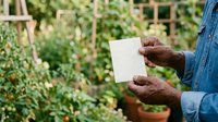 Farmer in denim shirt holding blank white card in vegetable garden with green plants and wooden trellis in background for agricultural business messaging.