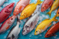 Fresh colorful fish on crushed ice, including red snapper and yellow tropical fish arranged in rows, showcasing seafood market display for food industry.